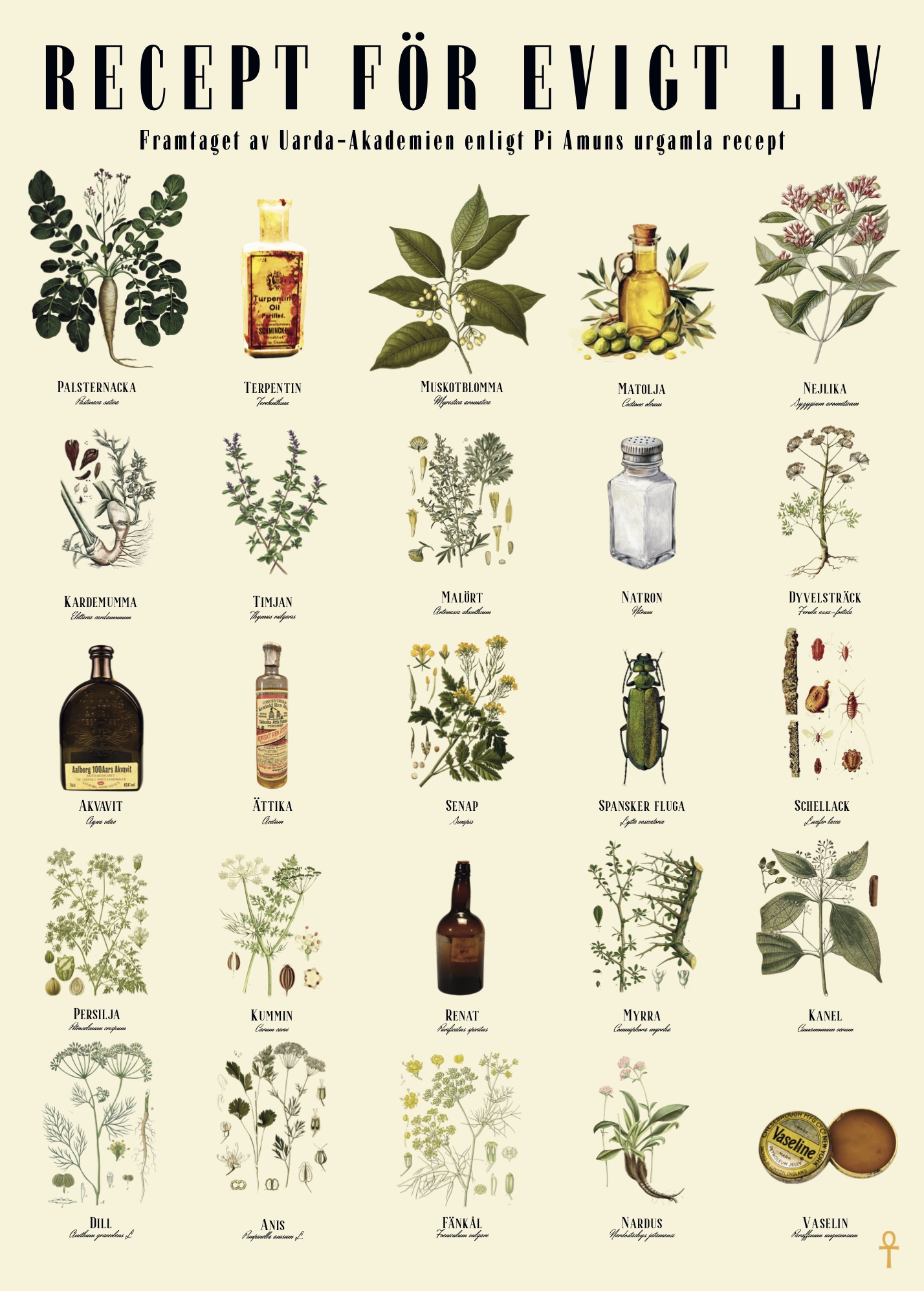 Utställningsaffirsen: "Recept för evigt liv”, Poster 50x70cm